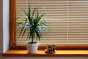 Home Direct Blinds